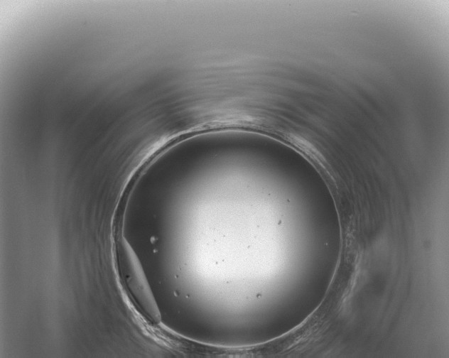 X0000054421047200508051801