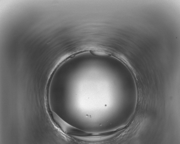 X0000054421048200508051801