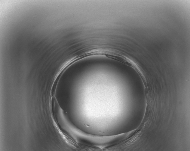 X0000054421050200508051801