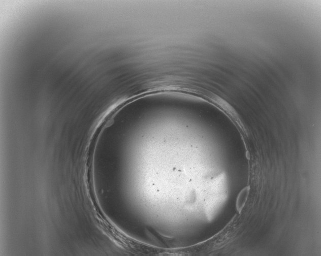 X0000054421051200508051801