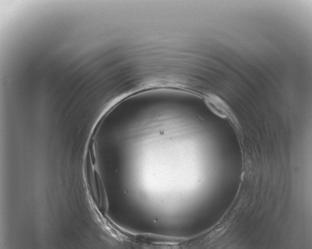 X0000054421052200508051801