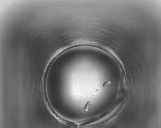 X0000054421053200508051801