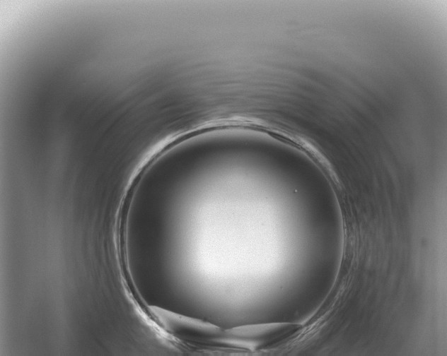 X0000054421054200508051801