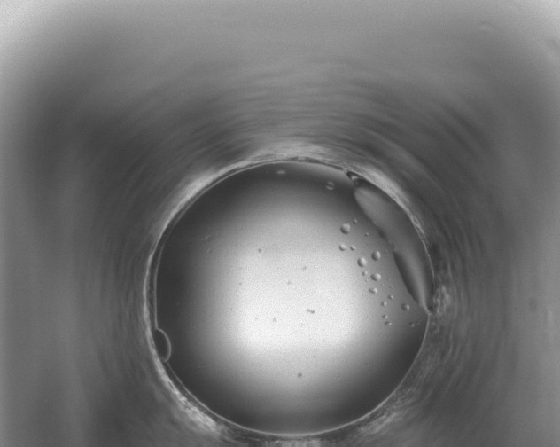 X0000054421055200508051801