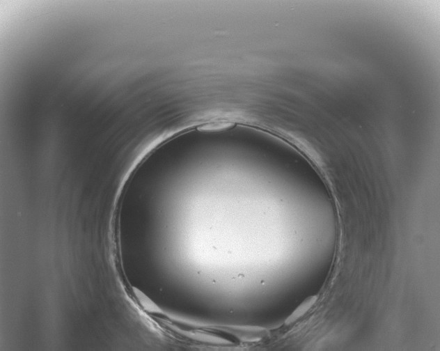 X0000054421056200508051801