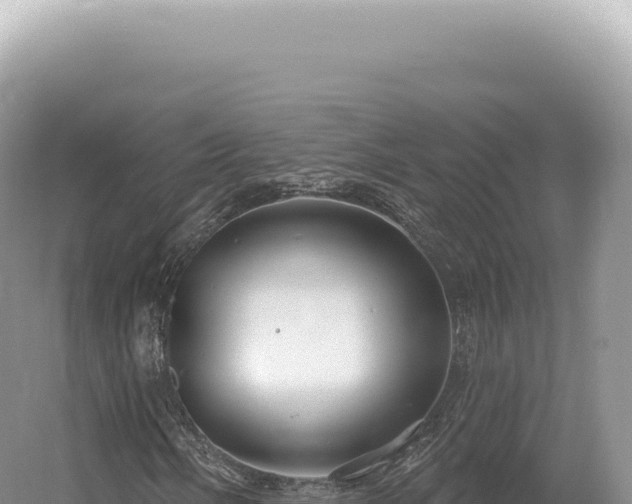 X0000054421058200508051800