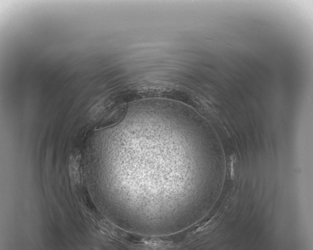 X0000054421059200508051800