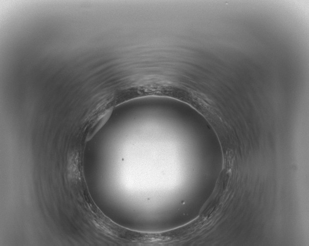 X0000054421060200508051800