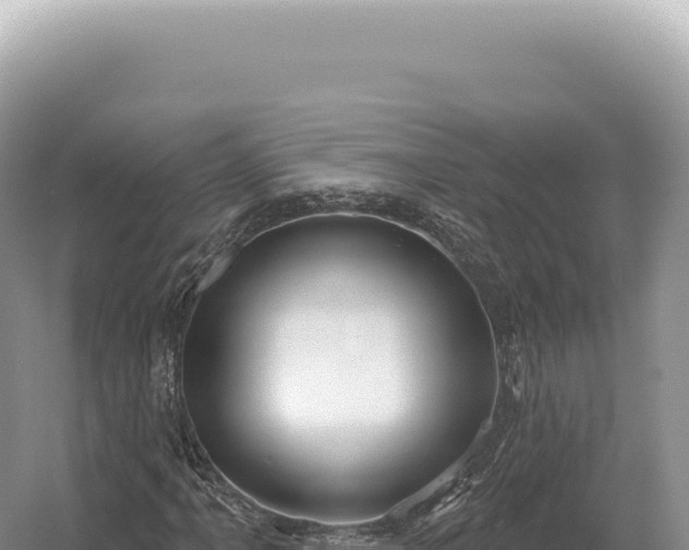 X0000054421061200508051800