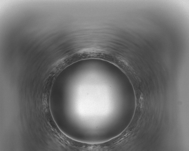 X0000054421062200508051800