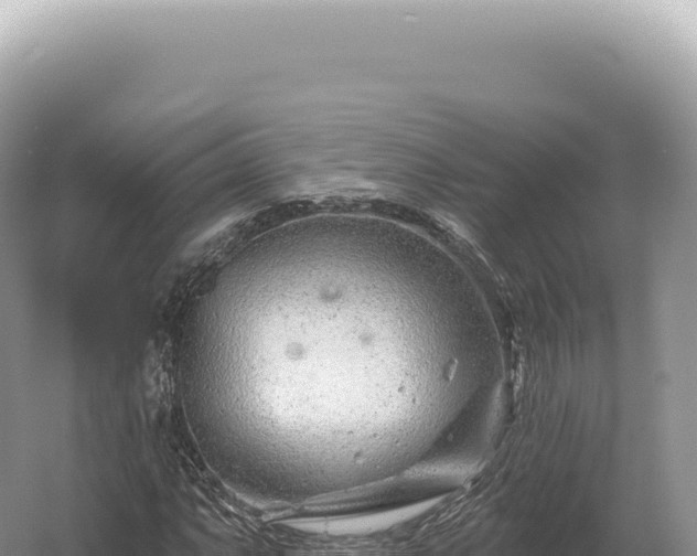 X0000054421063200508051800