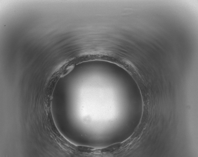 X0000054421064200508051800