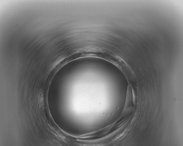 X0000054421065200508051800