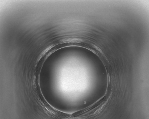 X0000054421066200508051800