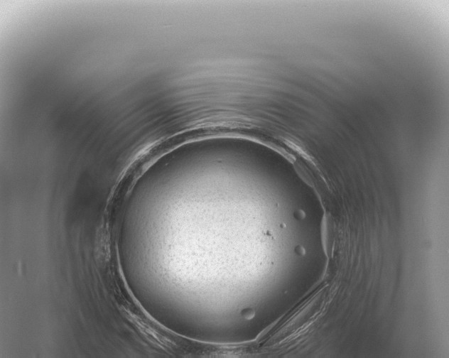 X0000054421067200508051800