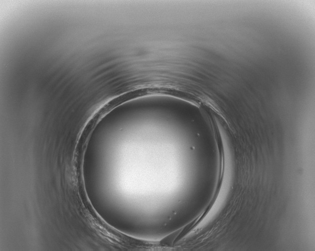 X0000054421068200508051800