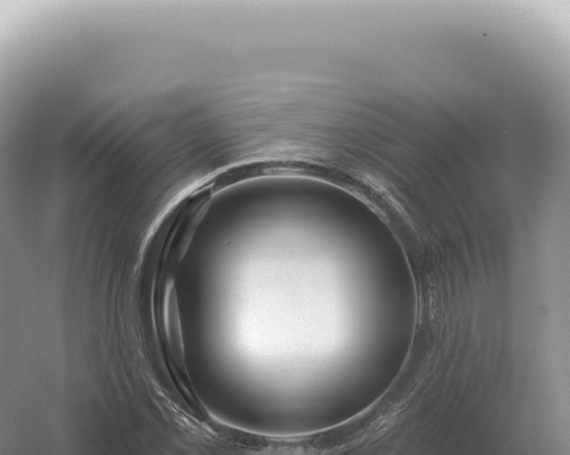 X0000054421069200508051800