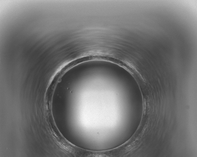 X0000054421070200508051800