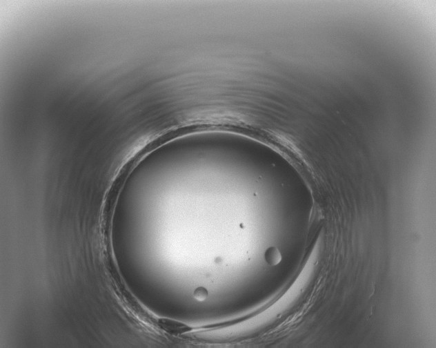 X0000054421071200508051800