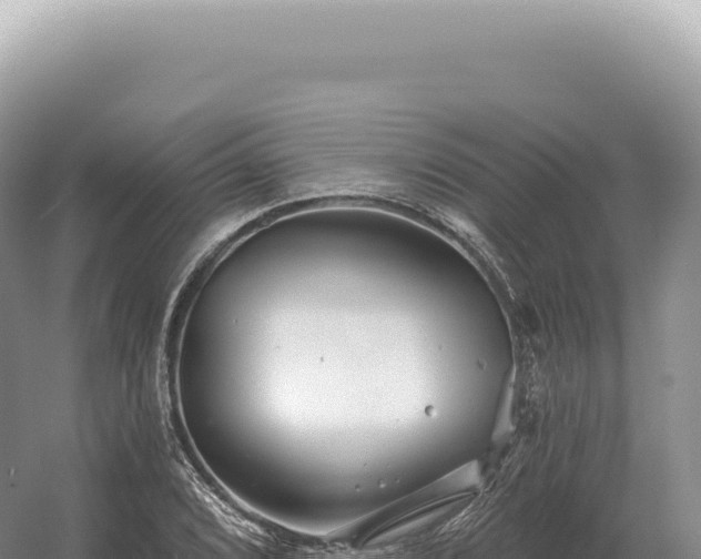 X0000054421072200508051800