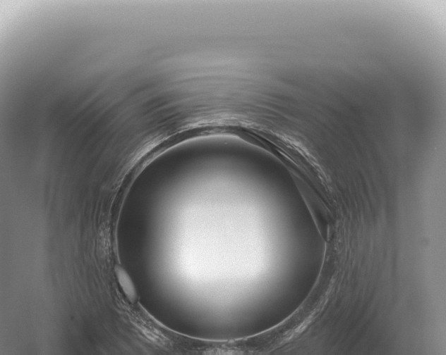 X0000054421073200508051800