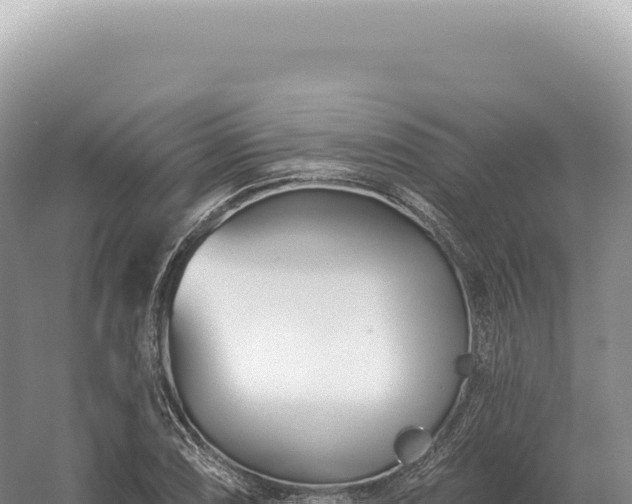 X0000054421074200508051800