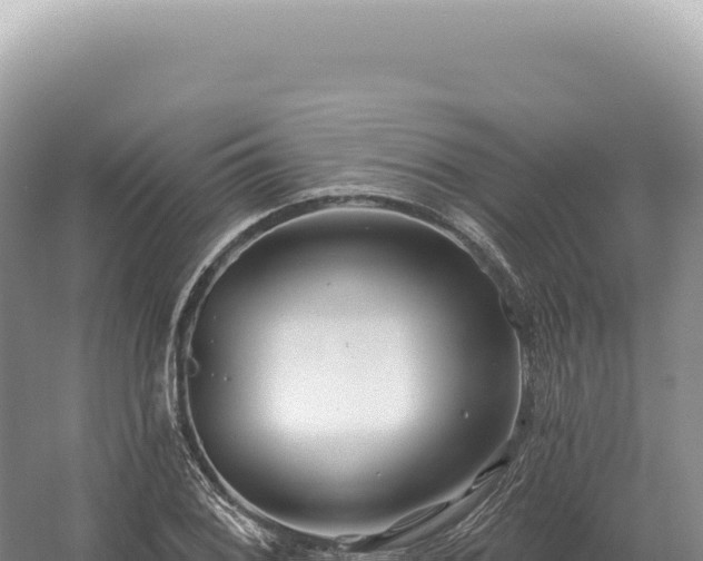 X0000054421076200508051800