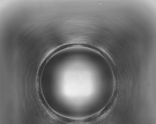 X0000054421077200508051800