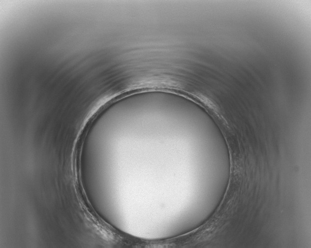 X0000054421078200508051800