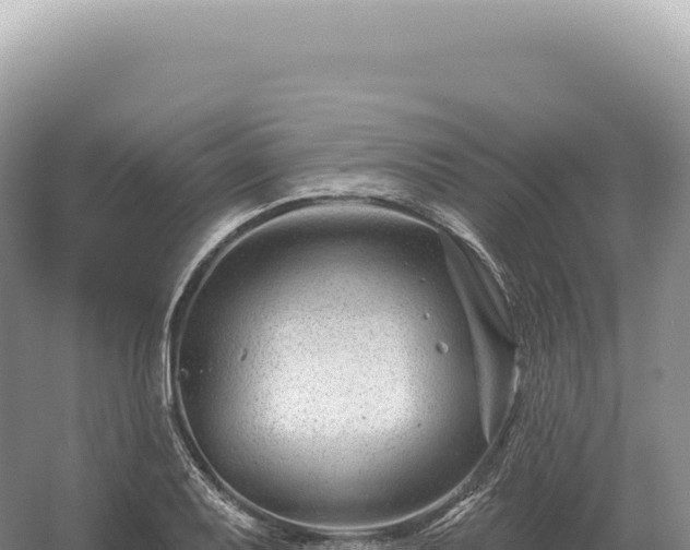 X0000054421079200508051759