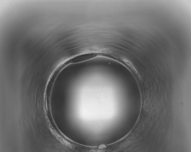 X0000054421080200508051759