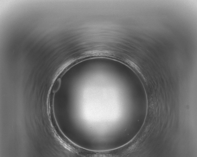 X0000054421082200508051759