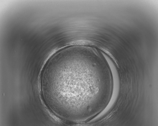 X0000054421083200508051759