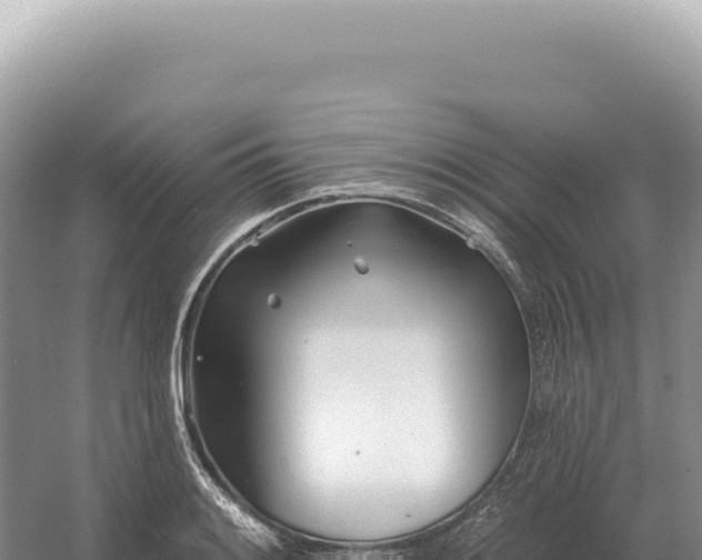 X0000054421084200508051759