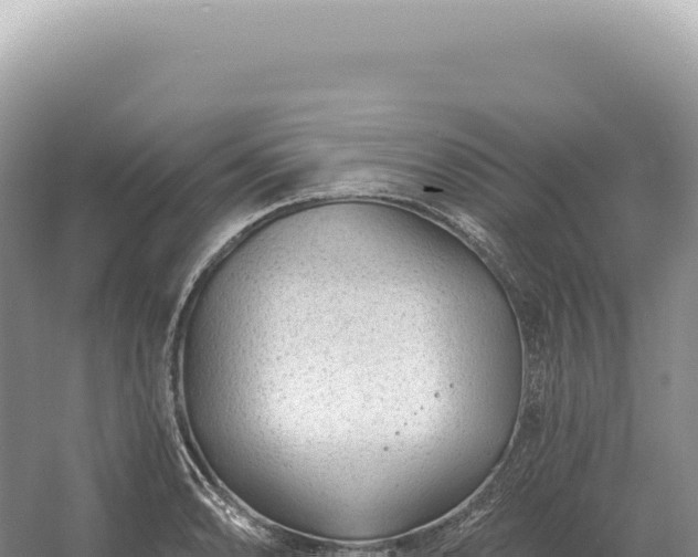 X0000054421086200508051759