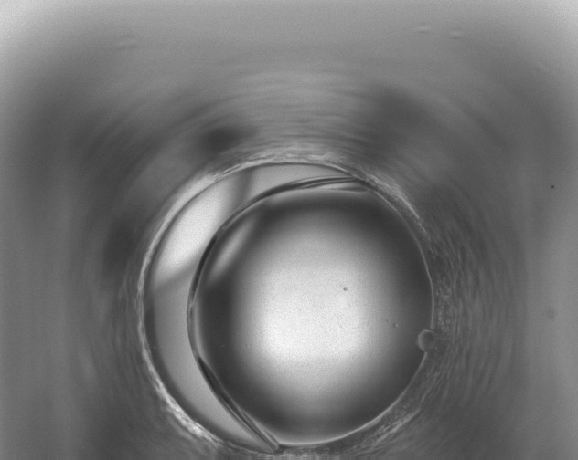 X0000054421087200508051759