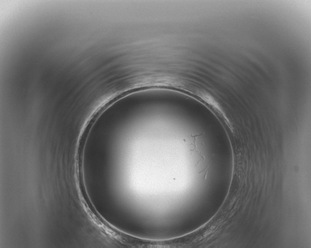 X0000054421088200508051759