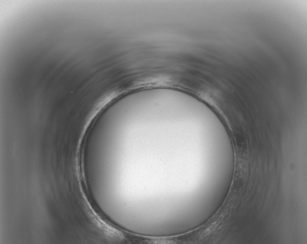 X0000054421090200508051759