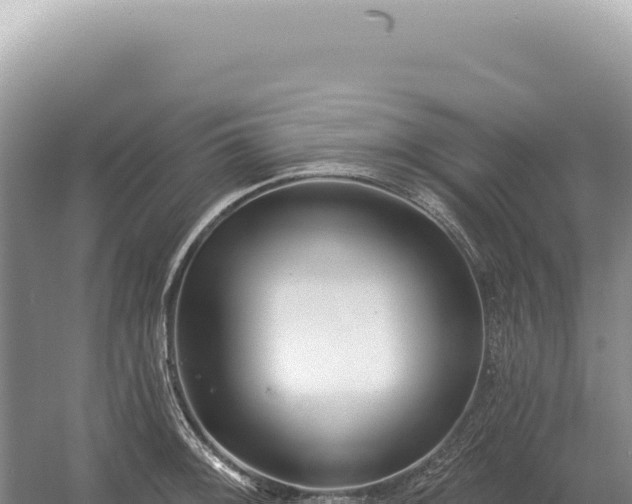 X0000054421092200508051759