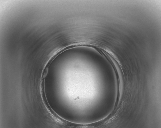 X0000054421093200508051759