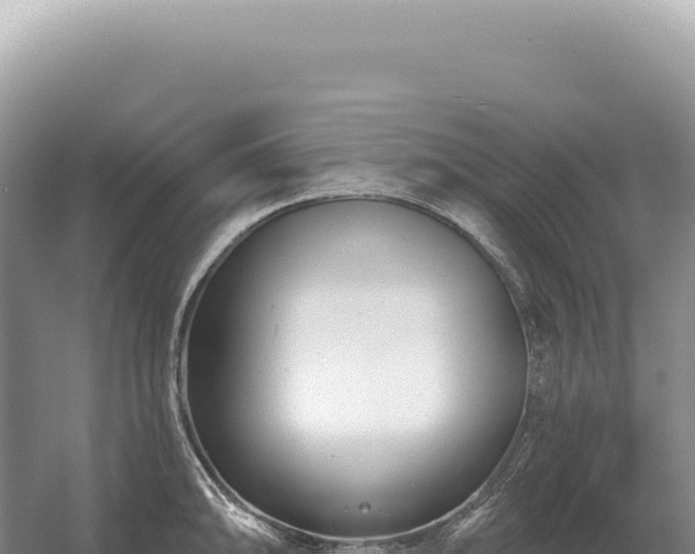 X0000054421094200508051759