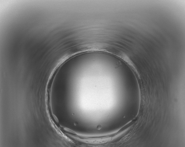 X0000054421096200508051759