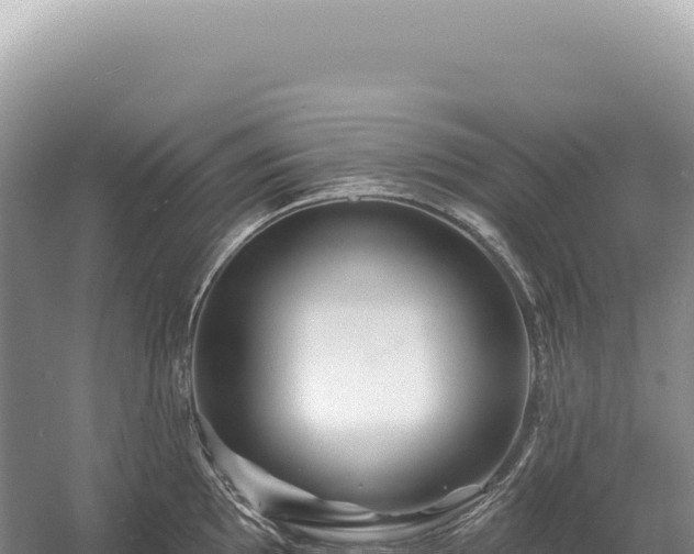 X0000054421097200508051759