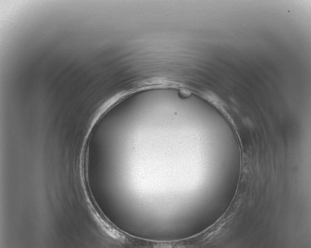 X0000054421098200508051759