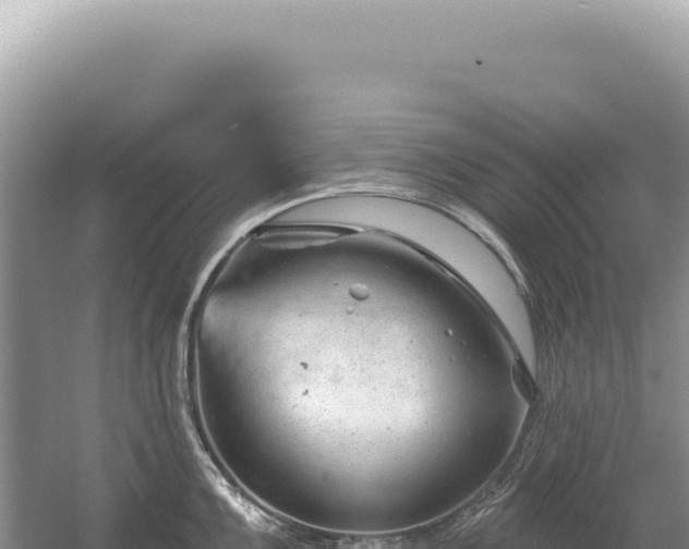 X0000054421099200508051759