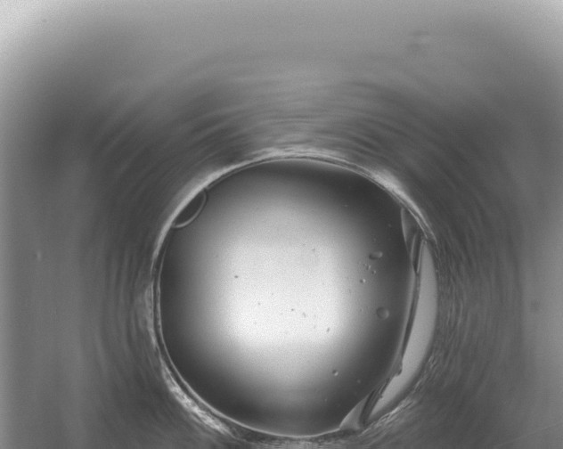 X0000054421100200508051759