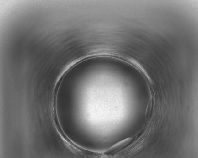 X0000054421101200508051759