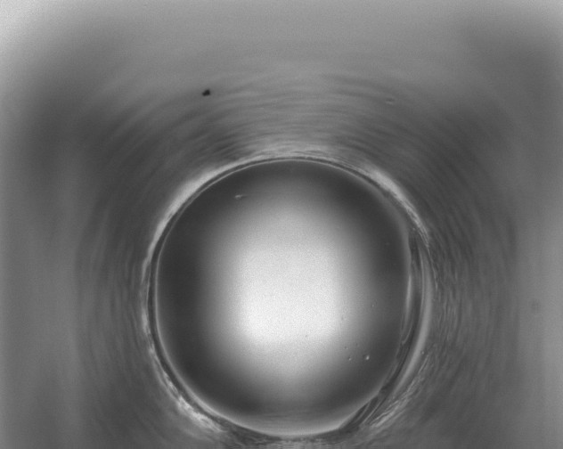 X0000054421102200508051759