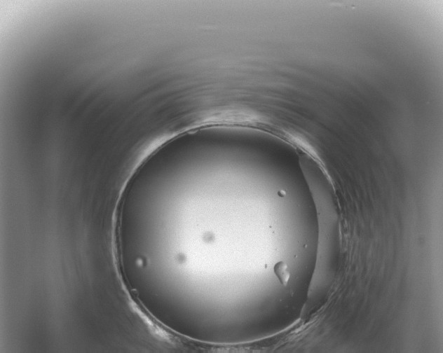 X0000054421103200508051759