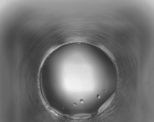 X0000054421104200508051759